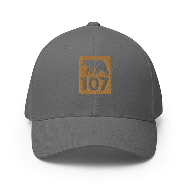 Bear 107 Structured Twill Cap