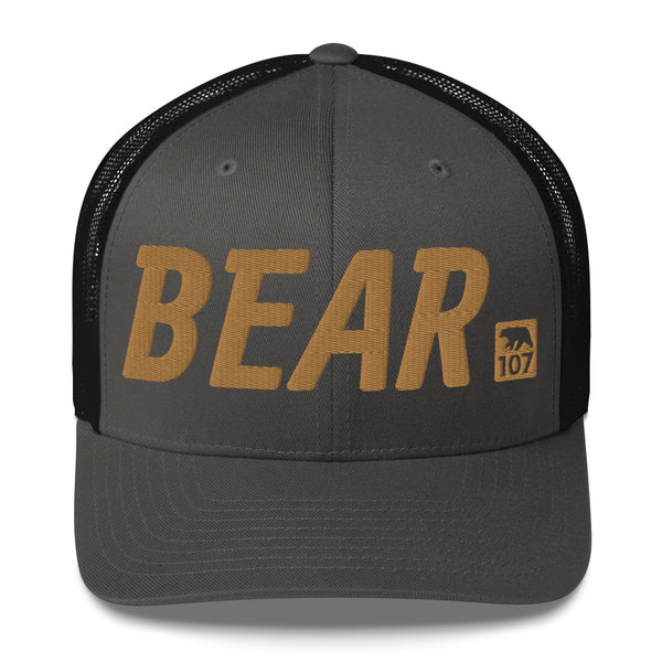 Gay Pride Bear 107 Tracker Cap