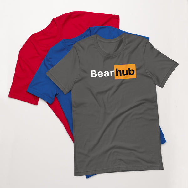 Gay Bear Pride Bear Hub t-shirt